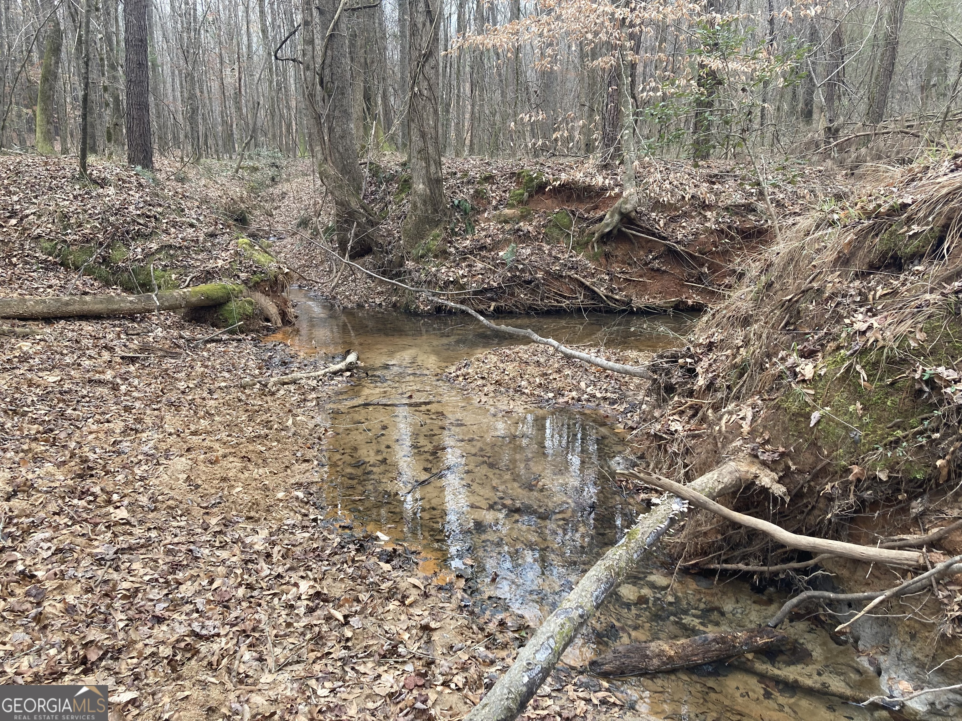40-acres Pobiddy Road Thomaston, GA 30286 - Photo 20 of 24 a view of tree in a yard