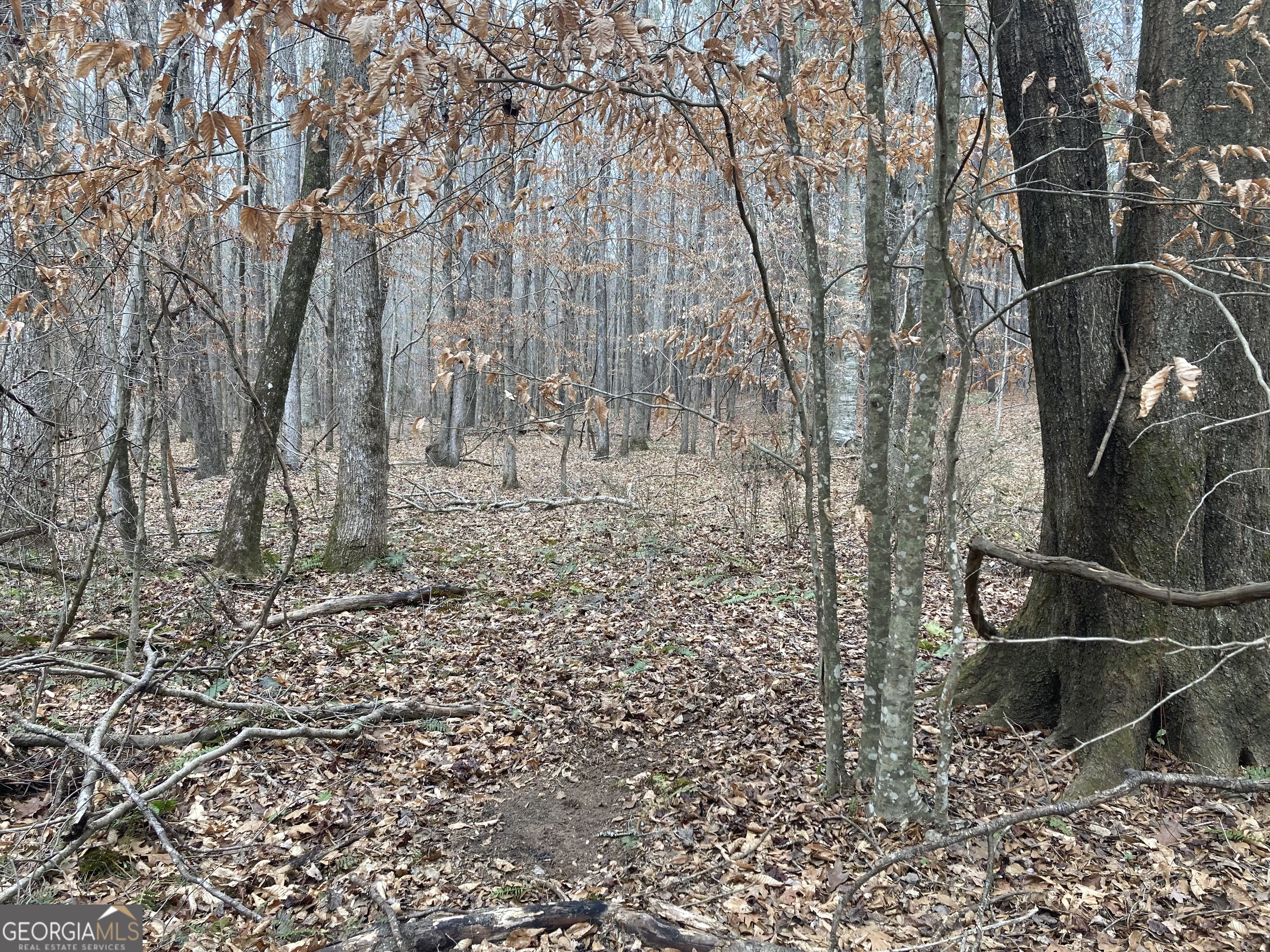 40-acres Pobiddy Road Thomaston, GA 30286 - Photo 22 of 24 a backyard of a house with lots of green space