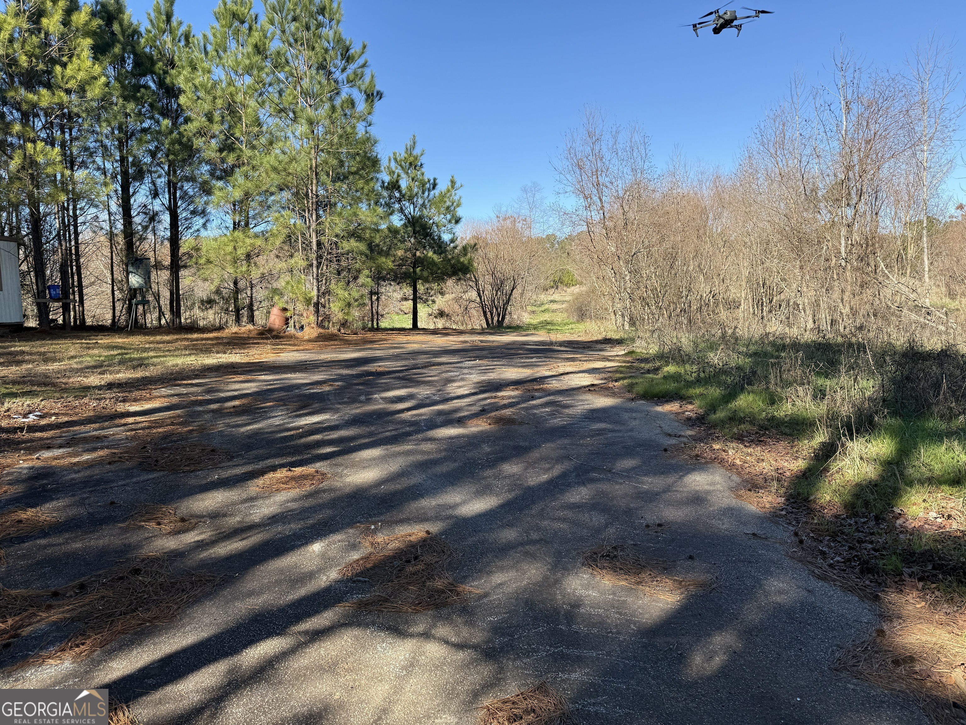 40-acres Pobiddy Road Thomaston, GA 30286 - Photo 5 of 24 a view of road with trees