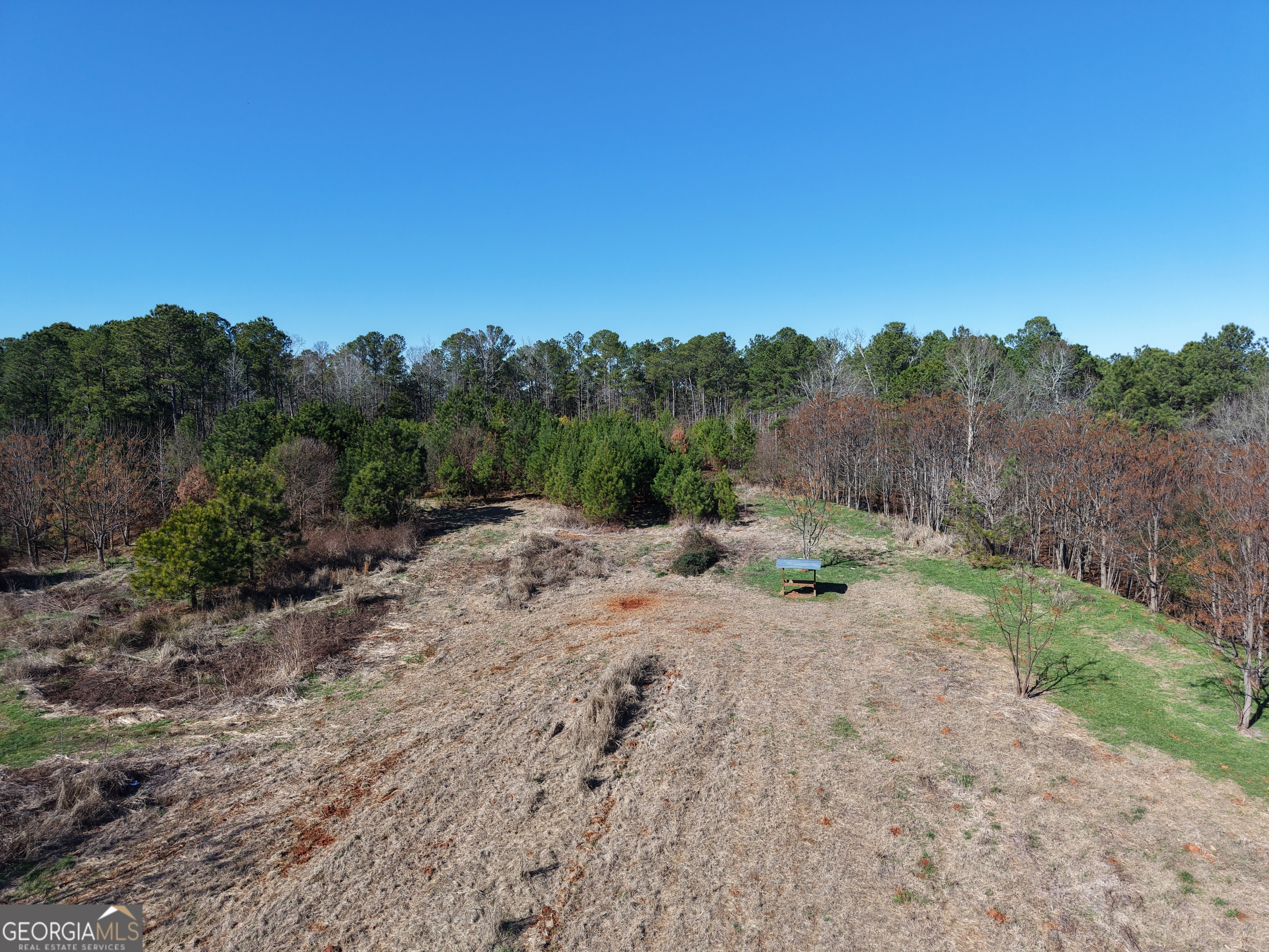 40-acres Pobiddy Road Thomaston, GA 30286 - Photo 6 of 24 a view of a dry yard with trees in the background