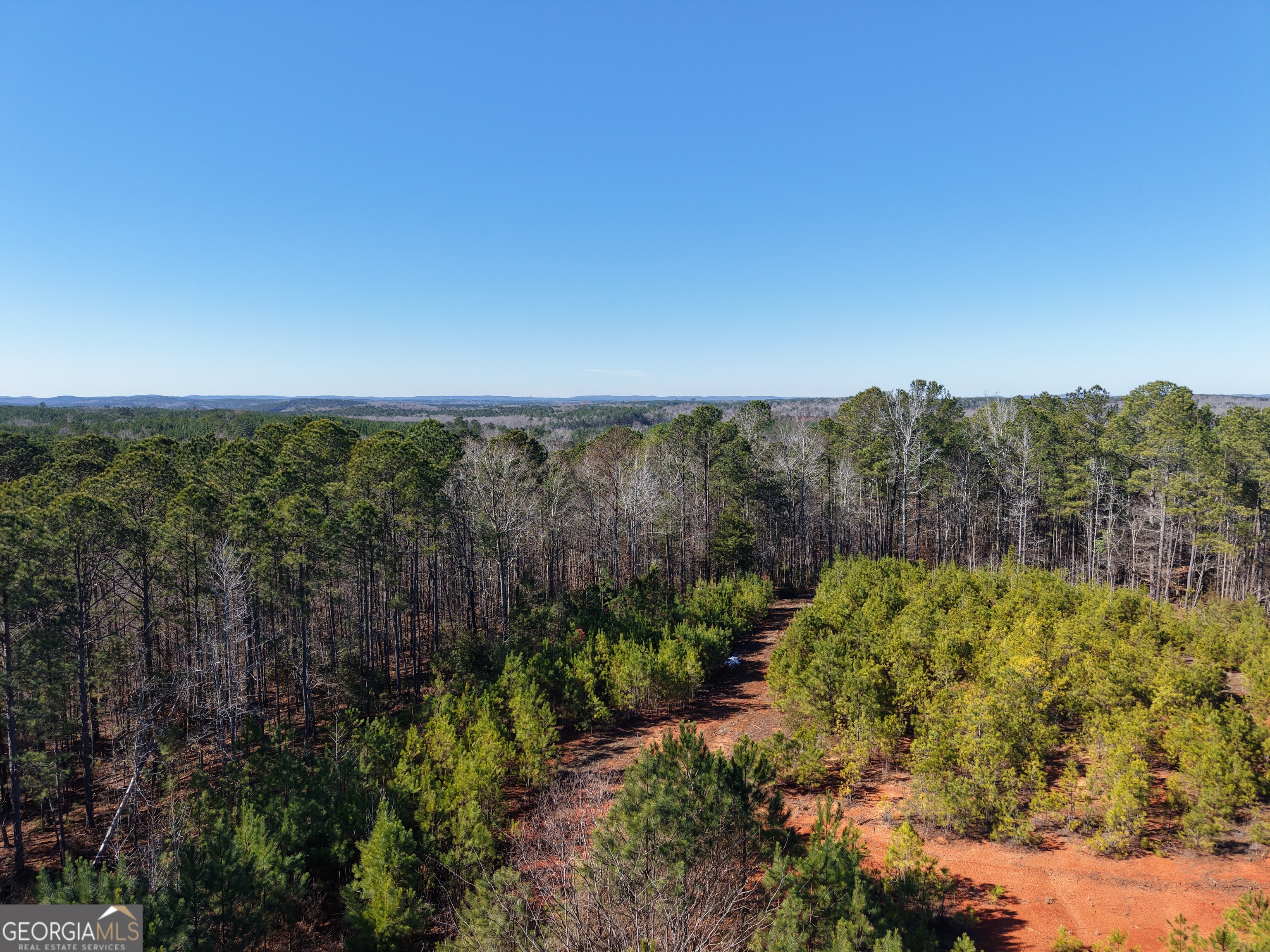 40-acres Pobiddy Road Thomaston, GA 30286 - Photo 7 of 24 a view of a bunch of trees and bushes