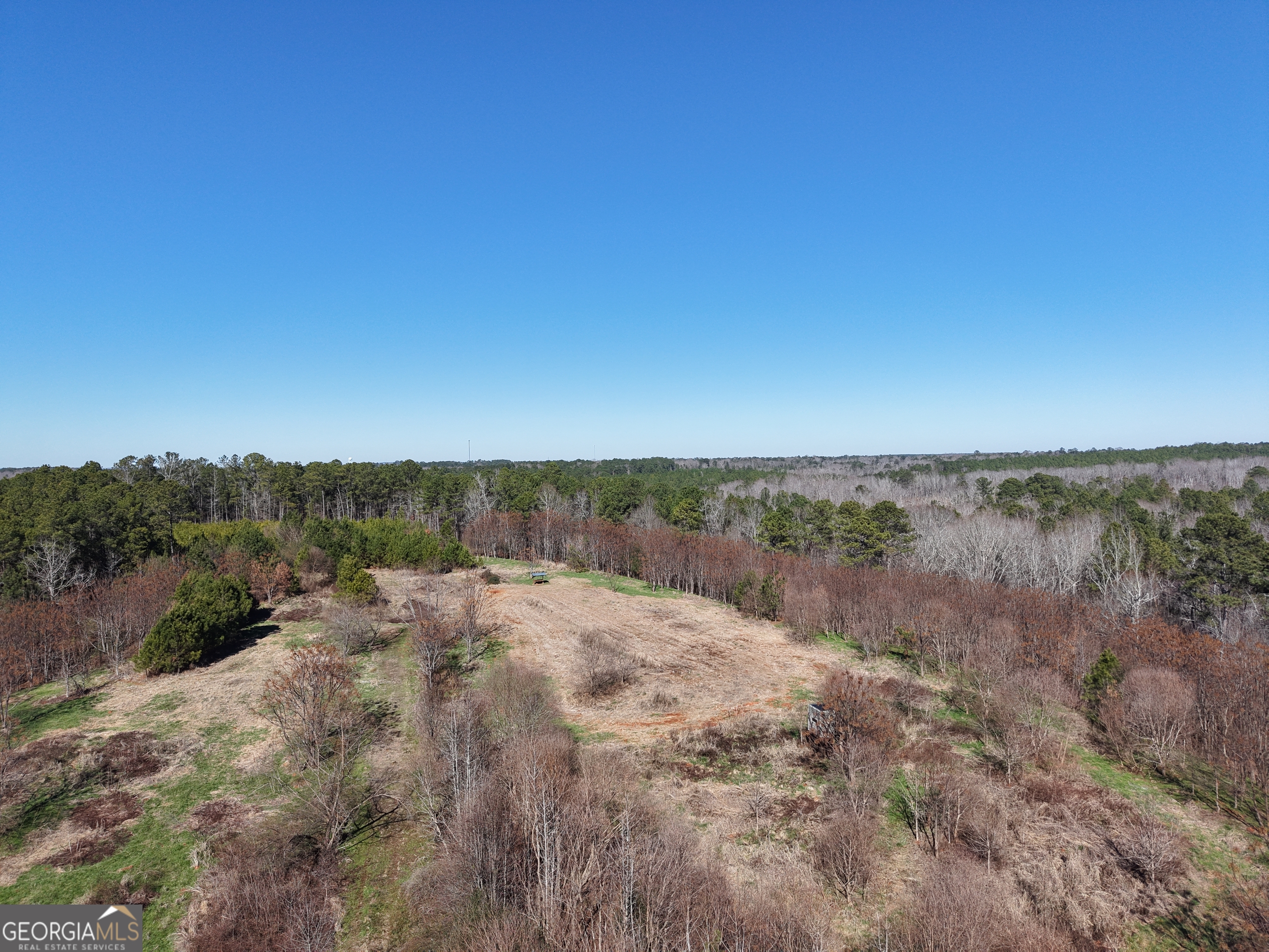 40-acres Pobiddy Road Thomaston, GA 30286 - Photo 10 of 24 a view of mountain and lake view