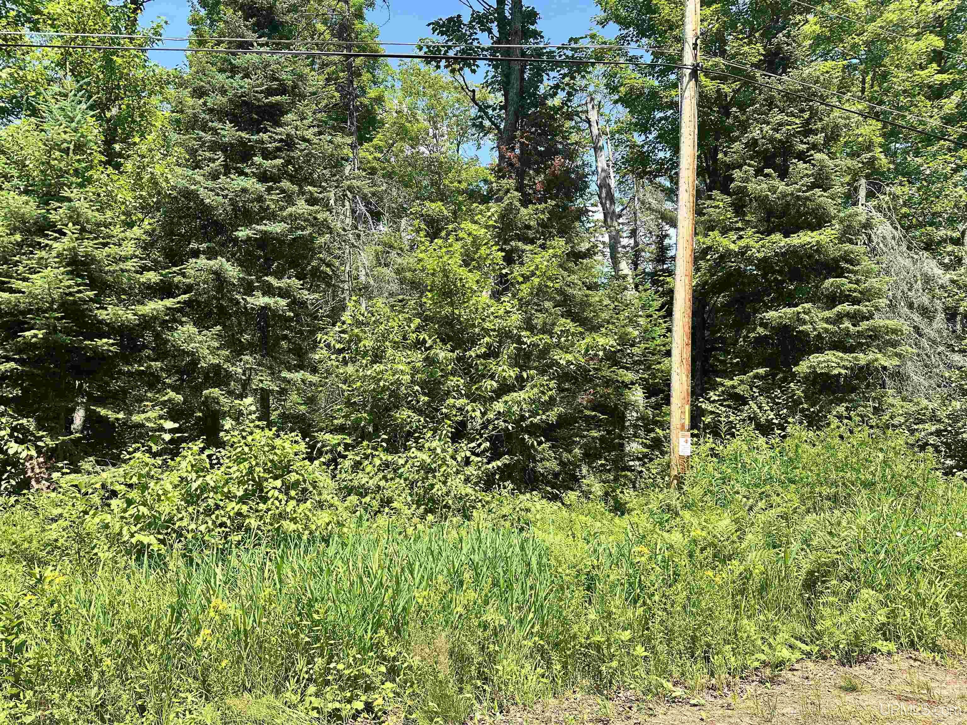 482 Rd Ishpeming Mi 49849 Road Ishpeming, MI 49849 - Photo 4 of 7