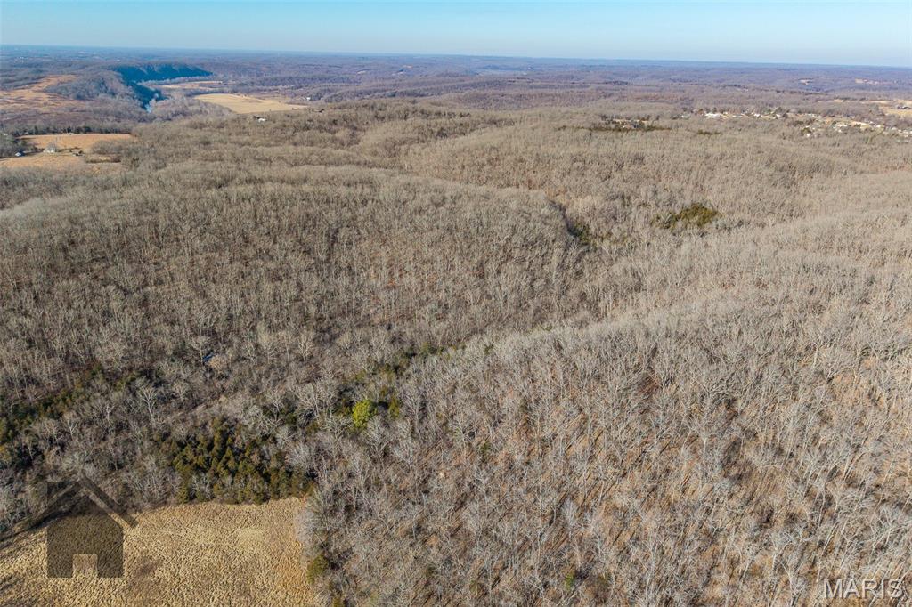 Tbd Tbd Tbd - Possibly Compass Road Dixon, MO 65459 - Photo 11 of 46