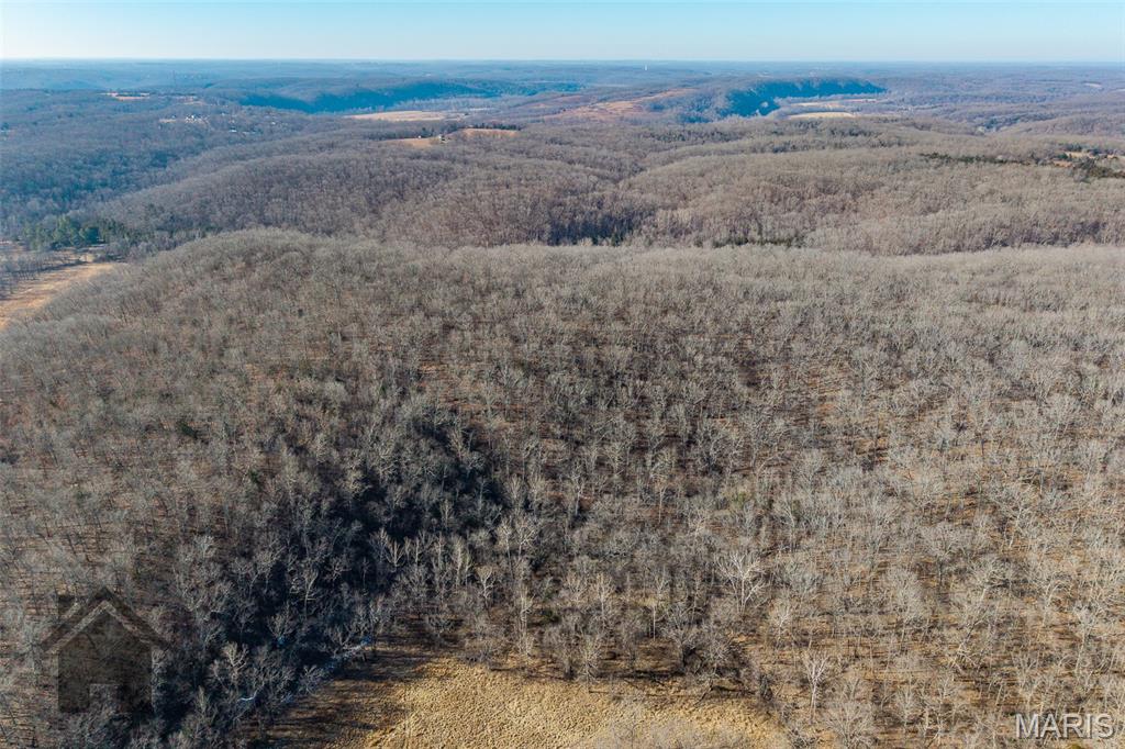 Tbd Tbd Tbd - Possibly Compass Road Dixon, MO 65459 - Photo 14 of 46