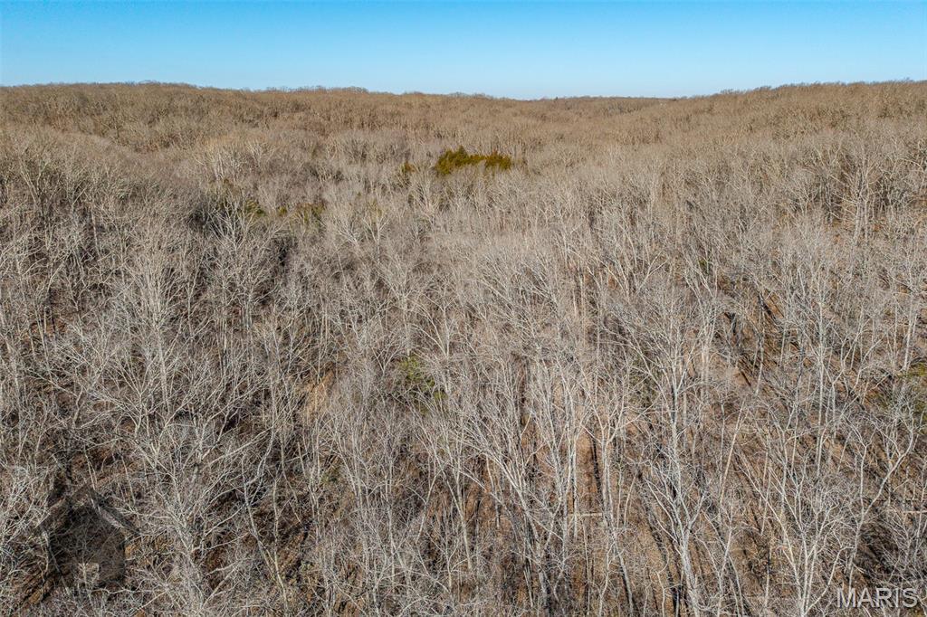 Tbd Tbd Tbd - Possibly Compass Road Dixon, MO 65459 - Photo 23 of 46