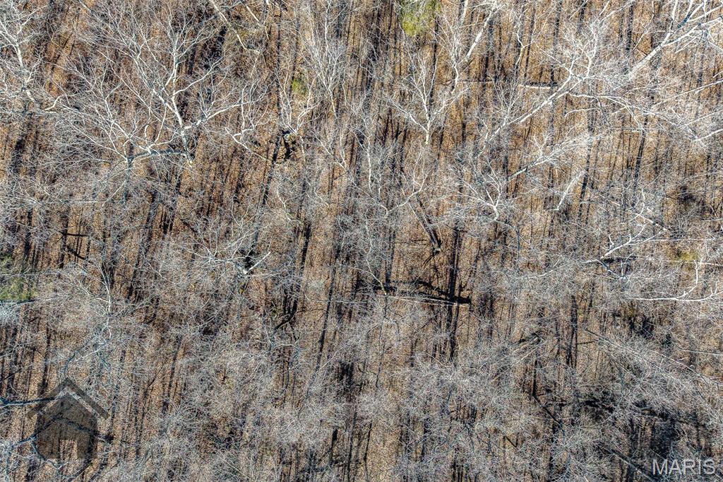 Tbd Tbd Tbd - Possibly Compass Road Dixon, MO 65459 - Photo 24 of 46