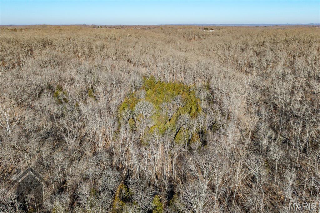 Tbd Tbd Tbd - Possibly Compass Road Dixon, MO 65459 - Photo 25 of 46
