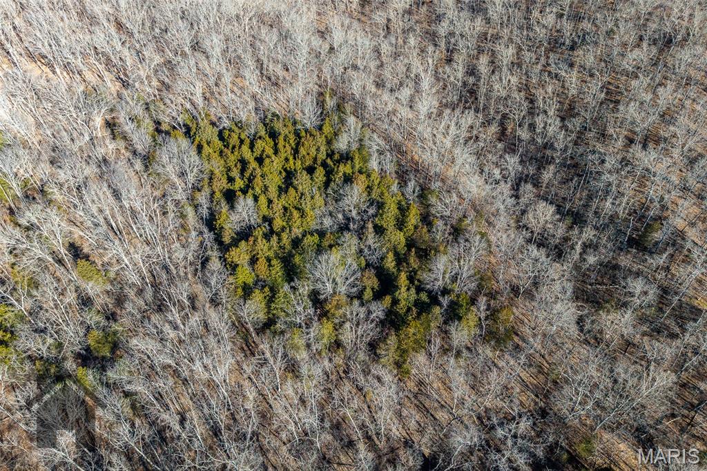 Tbd Tbd Tbd - Possibly Compass Road Dixon, MO 65459 - Photo 28 of 46