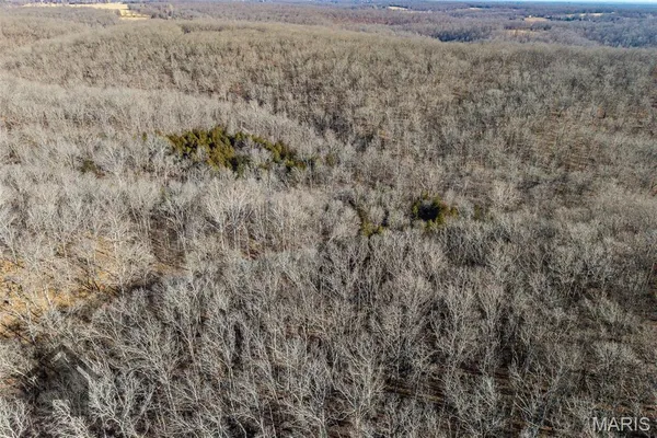 $612,500 | Tbd Tbd Tbd - Possibly Compass Road, Dixon, MO 65459