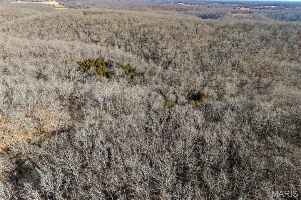 Tbd Tbd Tbd - Possibly Compass Road Dixon, MO 65459 - Photo 30 of 46