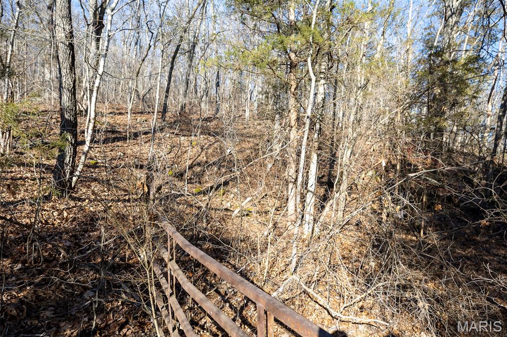 Tbd Tbd Tbd - Possibly Compass Road Dixon, MO 65459 - Photo 3 of 46