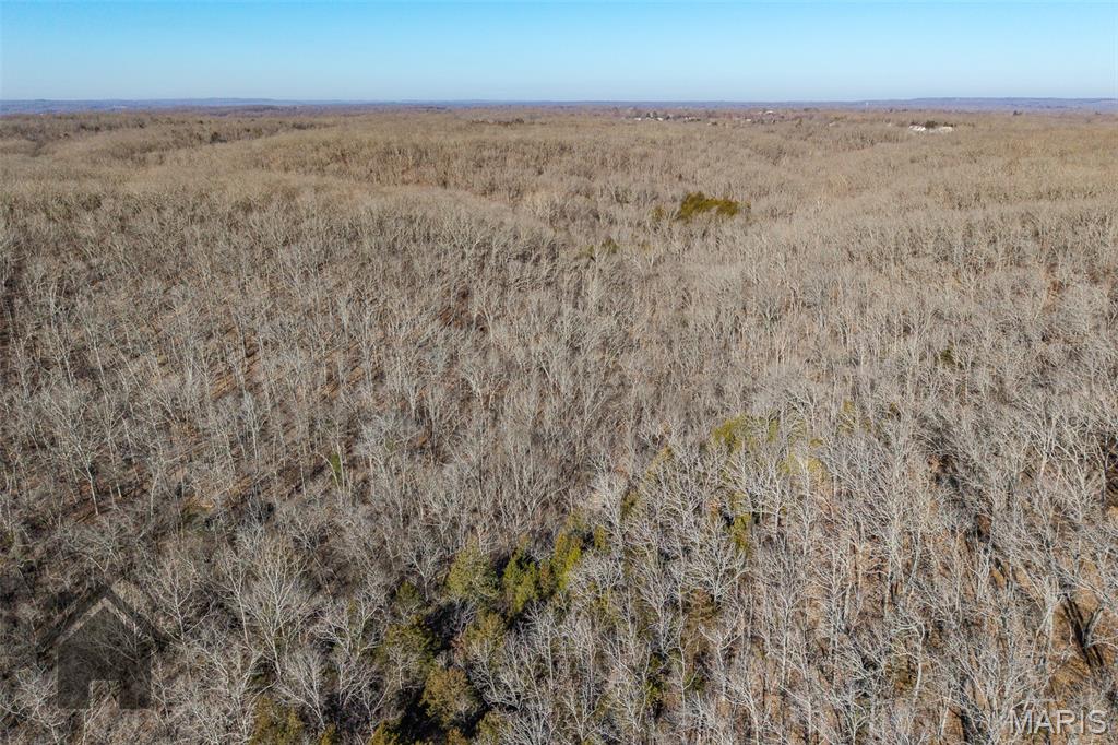 Tbd Tbd Tbd - Possibly Compass Road Dixon, MO 65459 - Photo 33 of 46