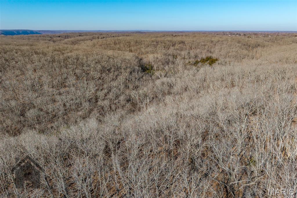 Tbd Tbd Tbd - Possibly Compass Road Dixon, MO 65459 - Photo 34 of 46