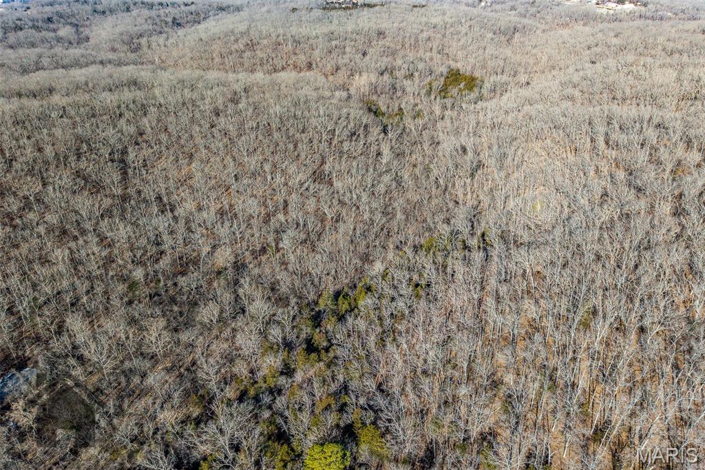 Tbd Tbd Tbd - Possibly Compass Road Dixon, MO 65459 - Photo 37 of 46