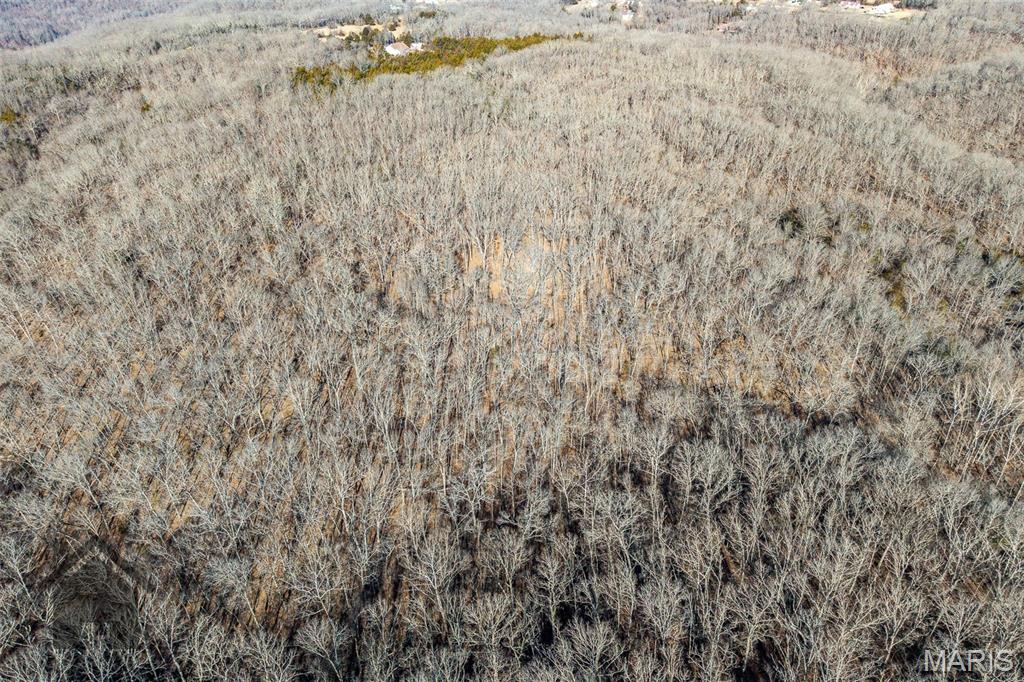 Tbd Tbd Tbd - Possibly Compass Road Dixon, MO 65459 - Photo 39 of 46