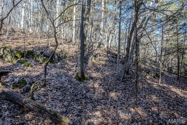 $612,500 | Tbd Tbd Tbd - Possibly Compass Road, Dixon, MO 65459