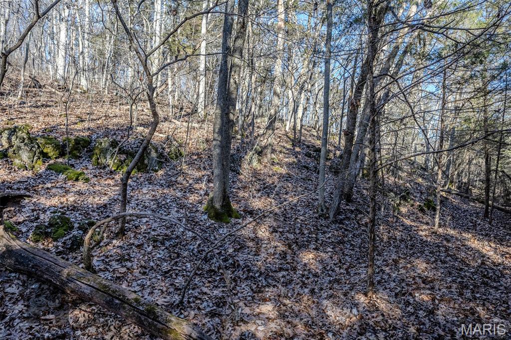 Tbd Tbd Tbd - Possibly Compass Road Dixon, MO 65459 - Photo 4 of 46