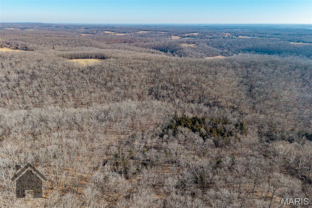 Tbd Tbd Tbd - Possibly Compass Road Dixon, MO 65459 - Photo 42 of 46