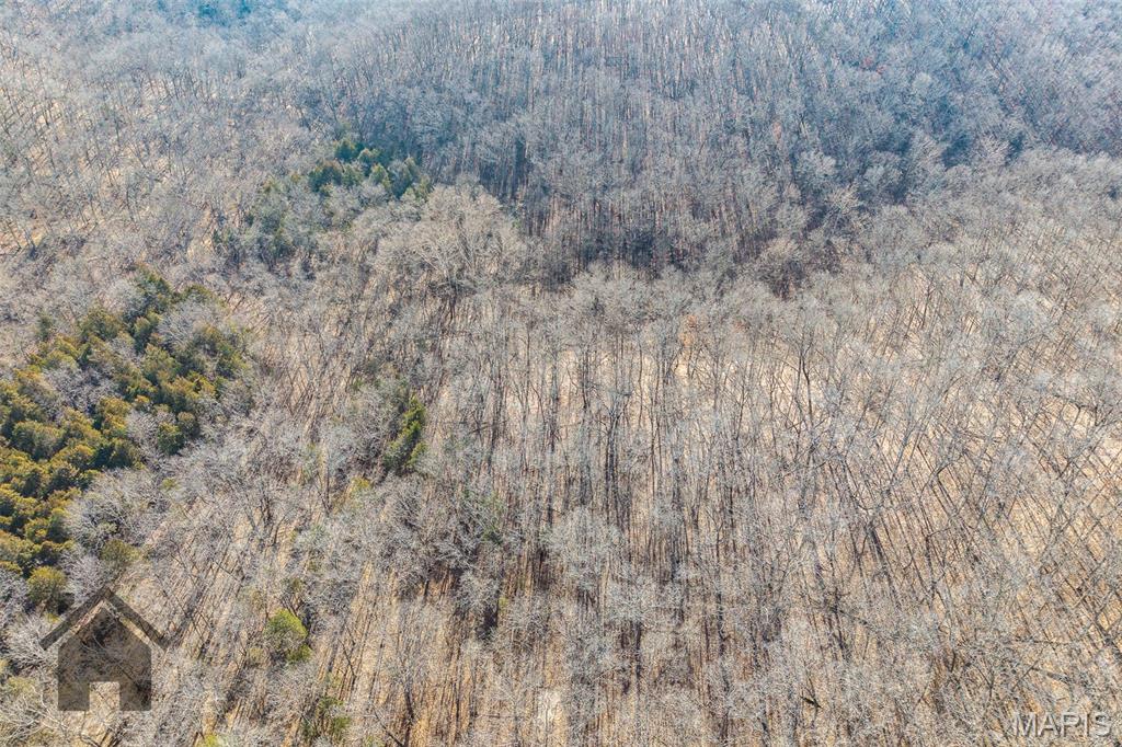 Tbd Tbd Tbd - Possibly Compass Road Dixon, MO 65459 - Photo 43 of 46