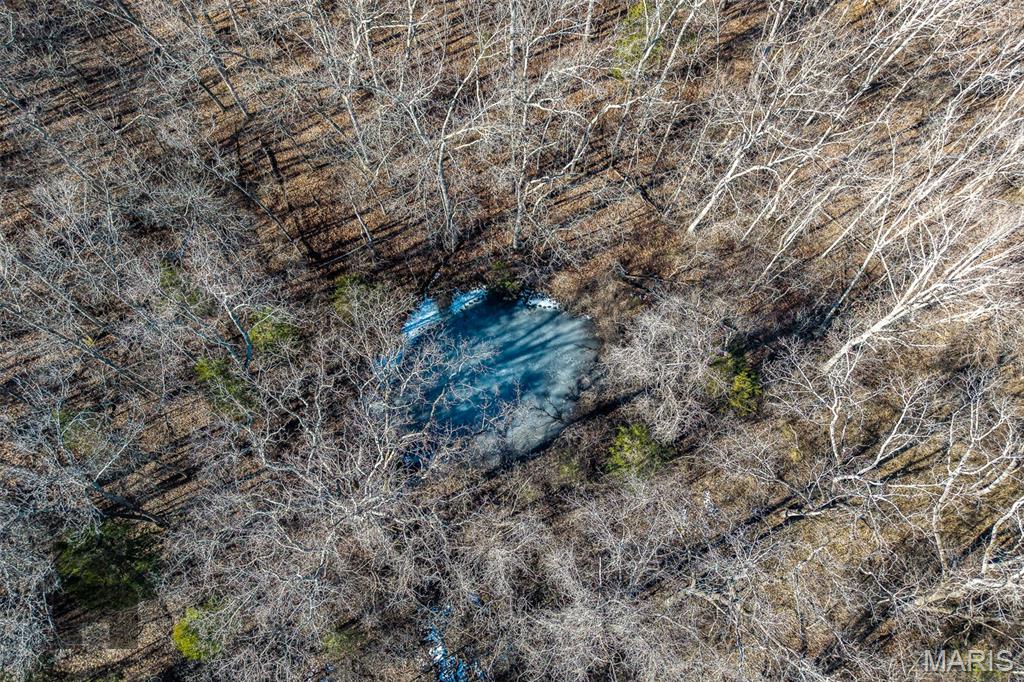 Tbd Tbd Tbd - Possibly Compass Road Dixon, MO 65459 - Photo 46 of 46