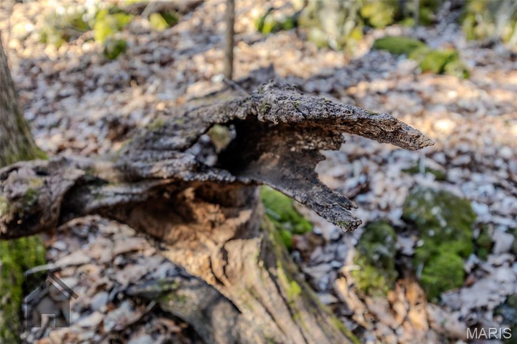 Tbd Tbd Tbd - Possibly Compass Road Dixon, MO 65459 - Photo 5 of 46