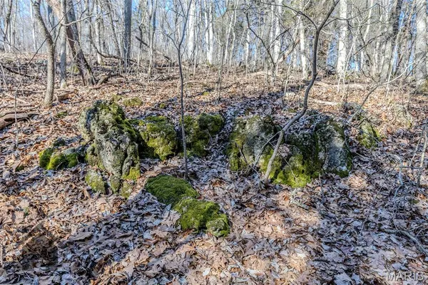 $612,500 | Tbd Tbd Tbd - Possibly Compass Road, Dixon, MO 65459