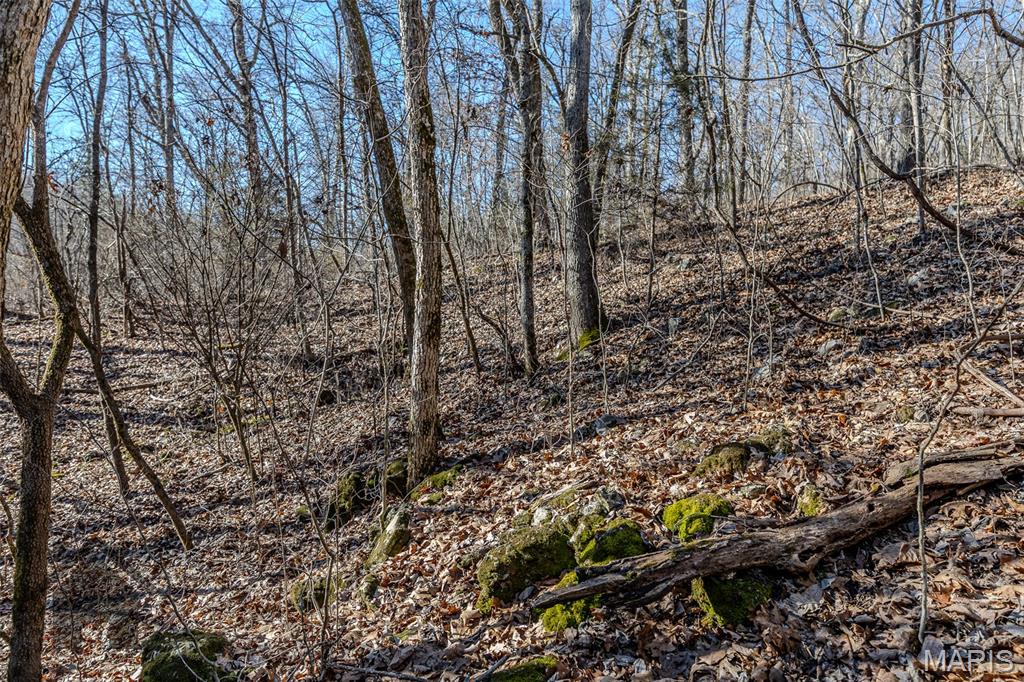 Tbd Tbd Tbd - Possibly Compass Road Dixon, MO 65459 - Photo 7 of 46