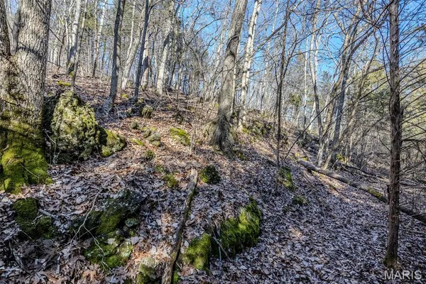 $612,500 | Tbd Tbd Tbd - Possibly Compass Road, Dixon, MO 65459