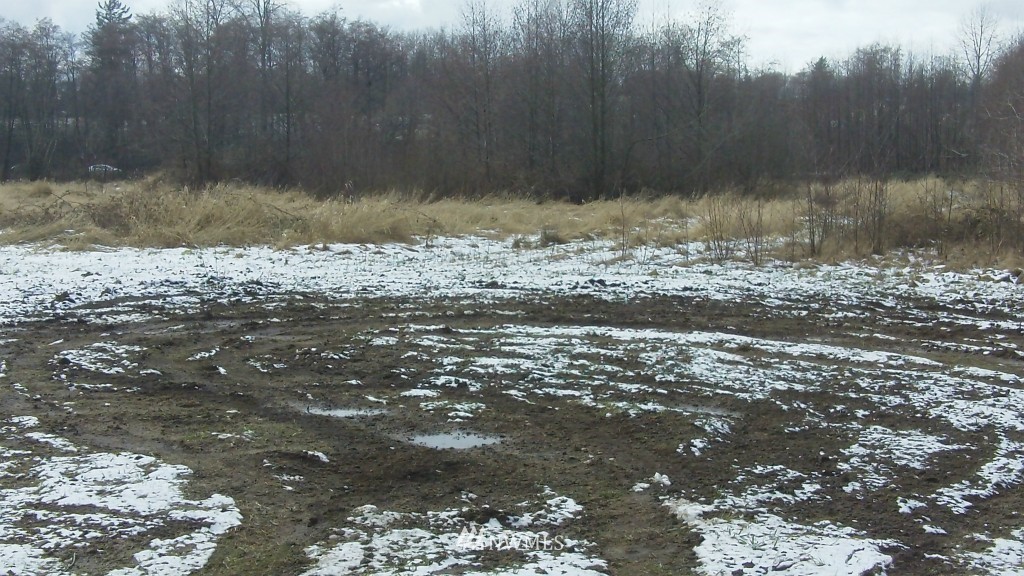 6267 Portal Way Ferndale, WA 98248 - Photo 3 of 3