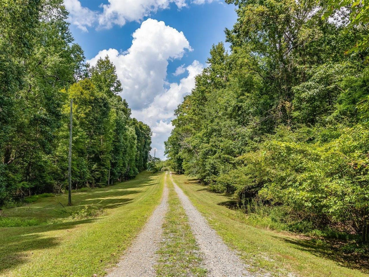 5609 Dona Road Julian, NC 27283 - Photo 57 of 63 a view of a yard with swimming pool