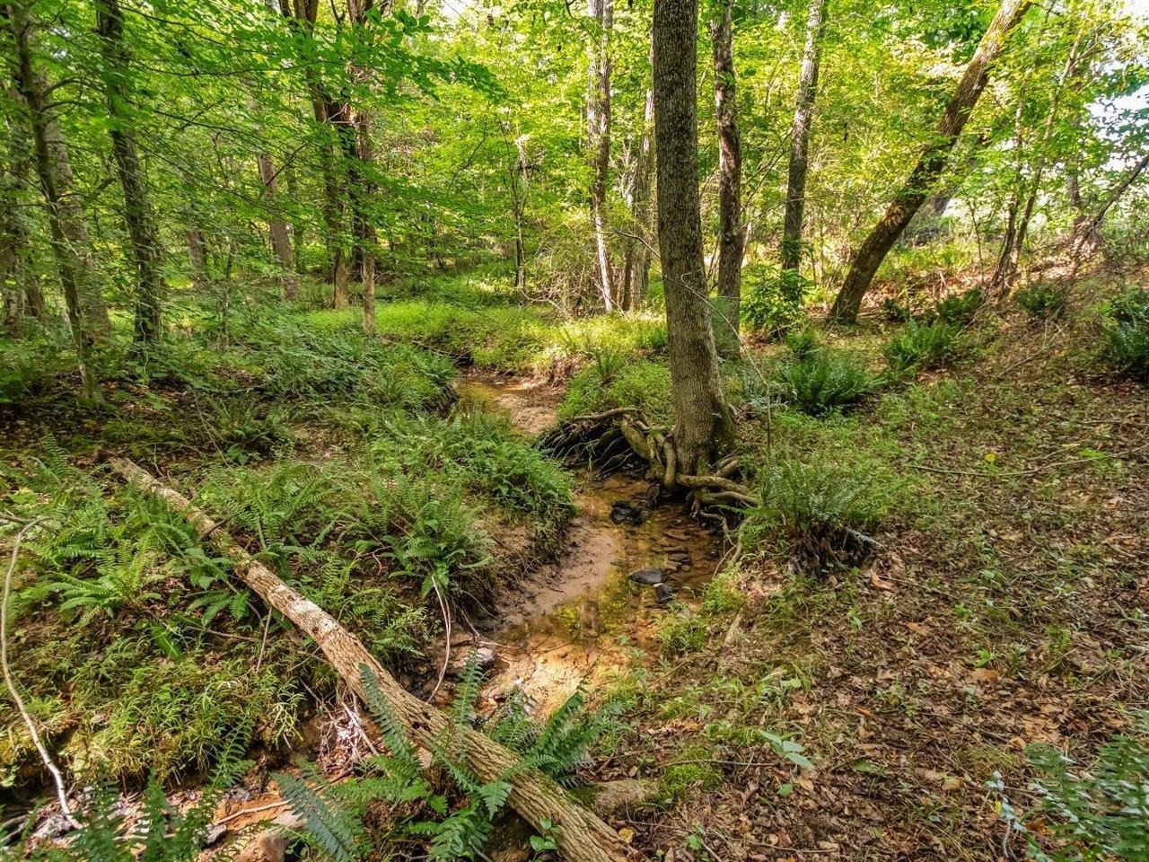 5609 Dona Road Julian, NC 27283 - Photo 59 of 63 Photo 59