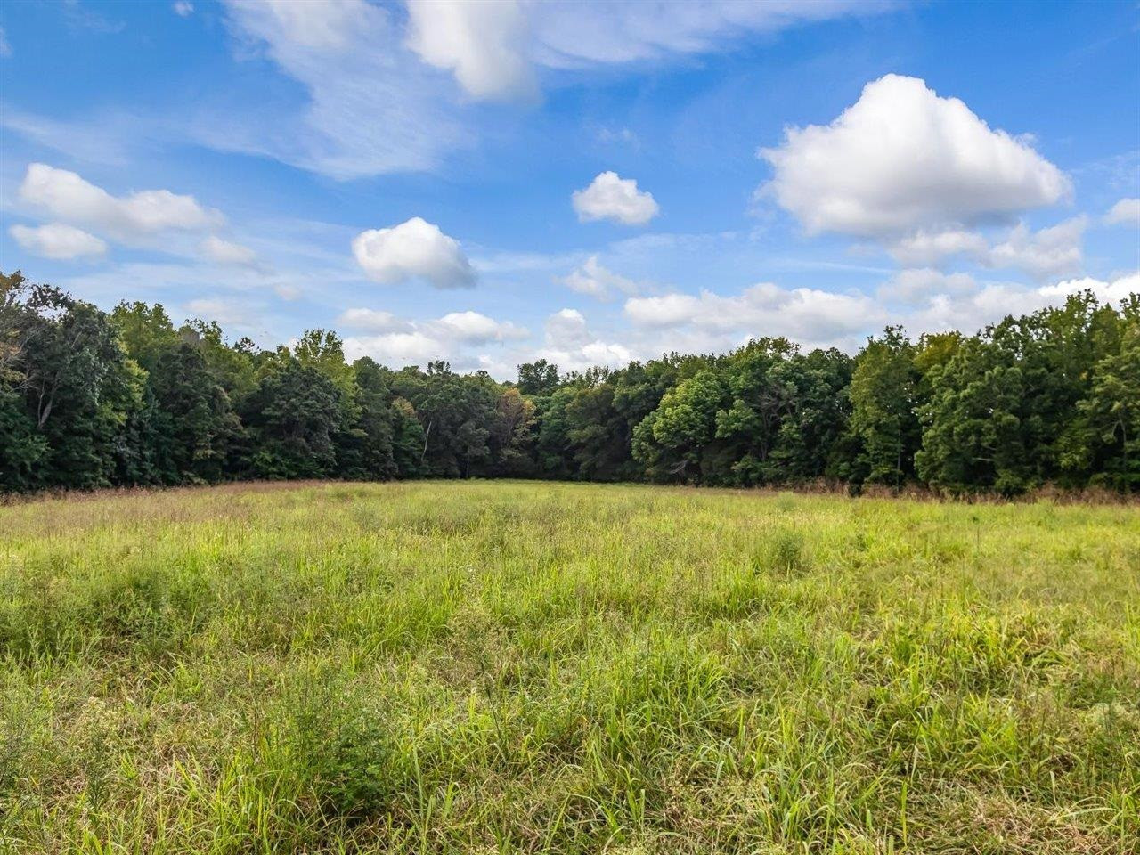5609 Dona Road Julian, NC 27283 - Photo 63 of 63 a view of outdoor space and yard