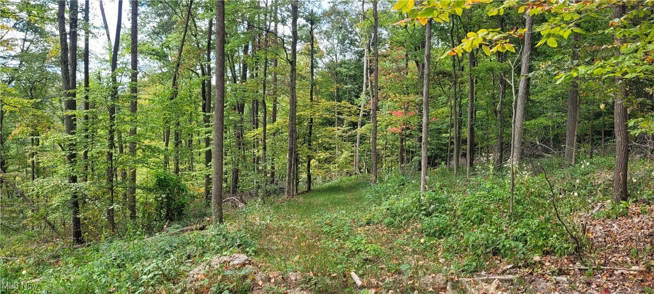 343 County Road Coshocton, OH 43812 - Photo 40 of 49 Gallery Image 40