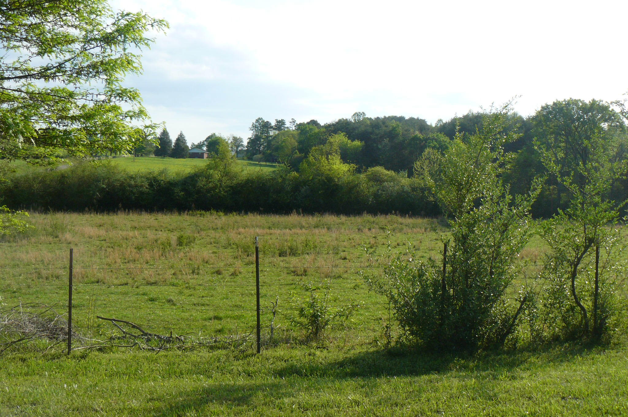 346 Old Store Road Madisonville, TN 37354 - Photo 8 of 22 P1060307