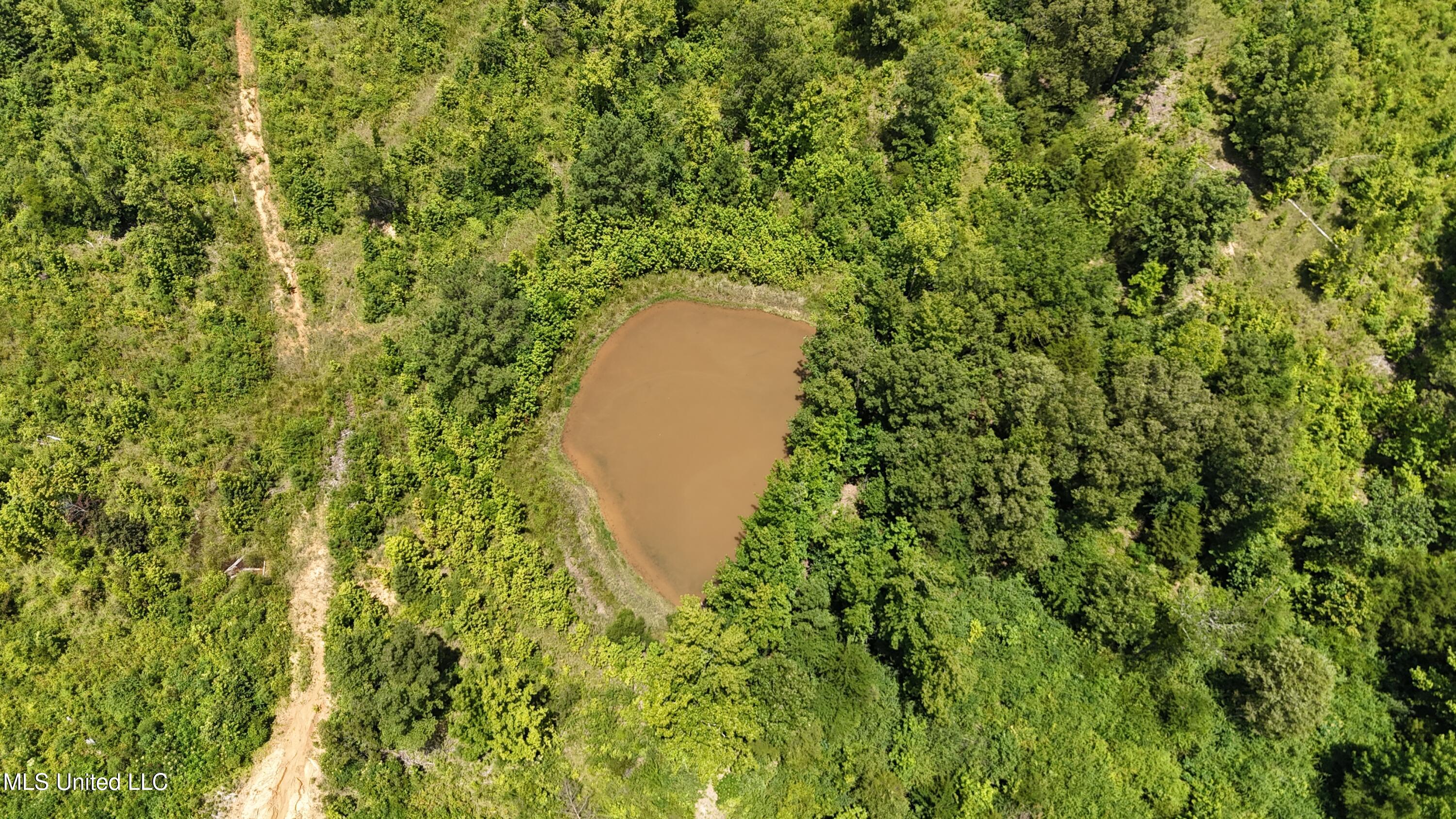 1820 County Road 478 Myrtle, MS 38650 - Photo 21 of 26 DJI_20250711131844_0545_D