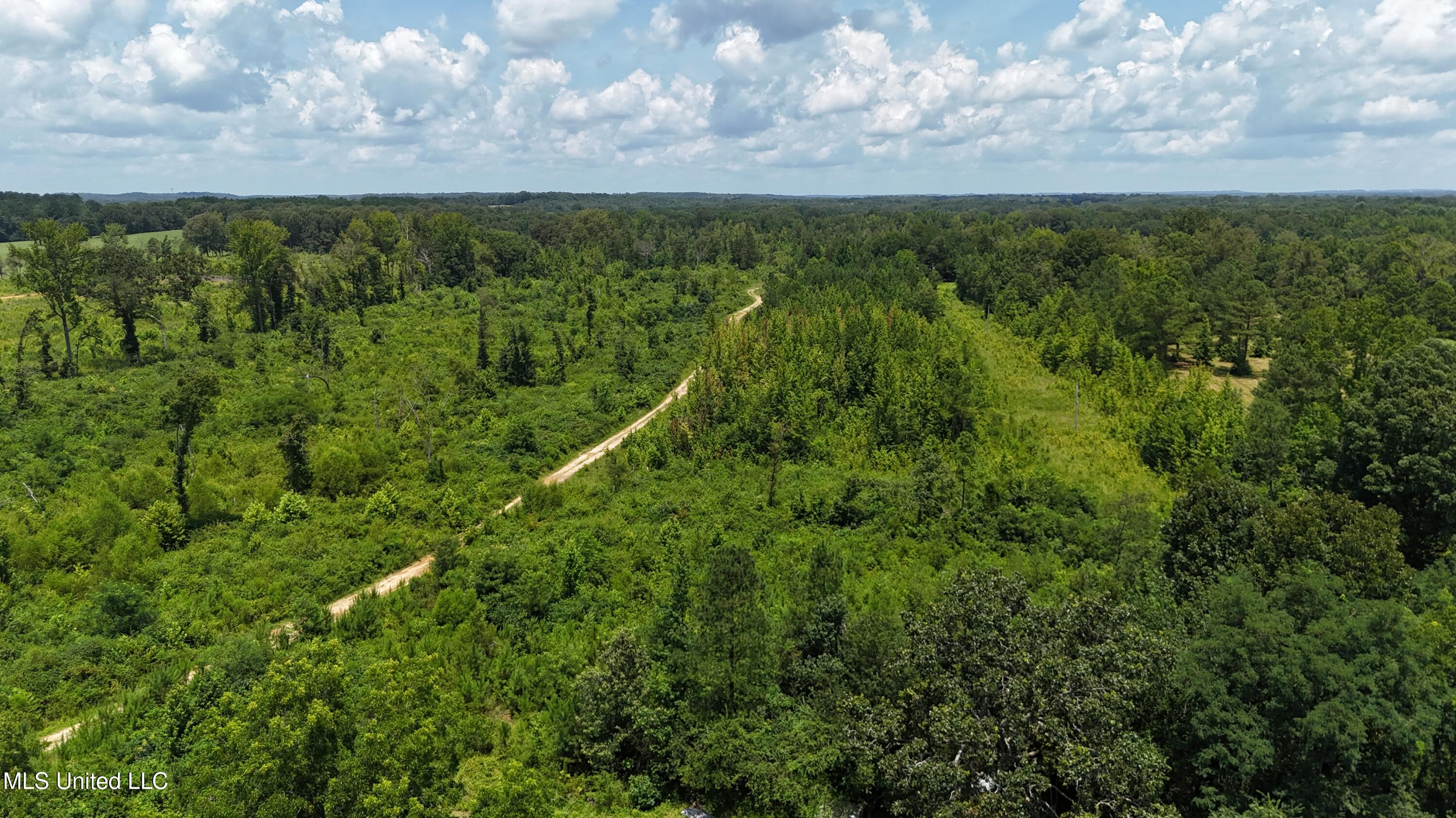 1820 County Road 478 Myrtle, MS 38650 - Photo 22 of 26 DJI_20250711131404_0537_D