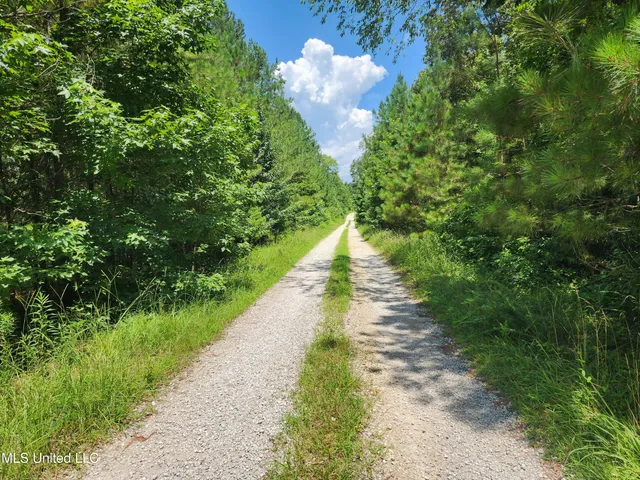 $279,900 | 1820 County Road 478, Myrtle, MS 38650