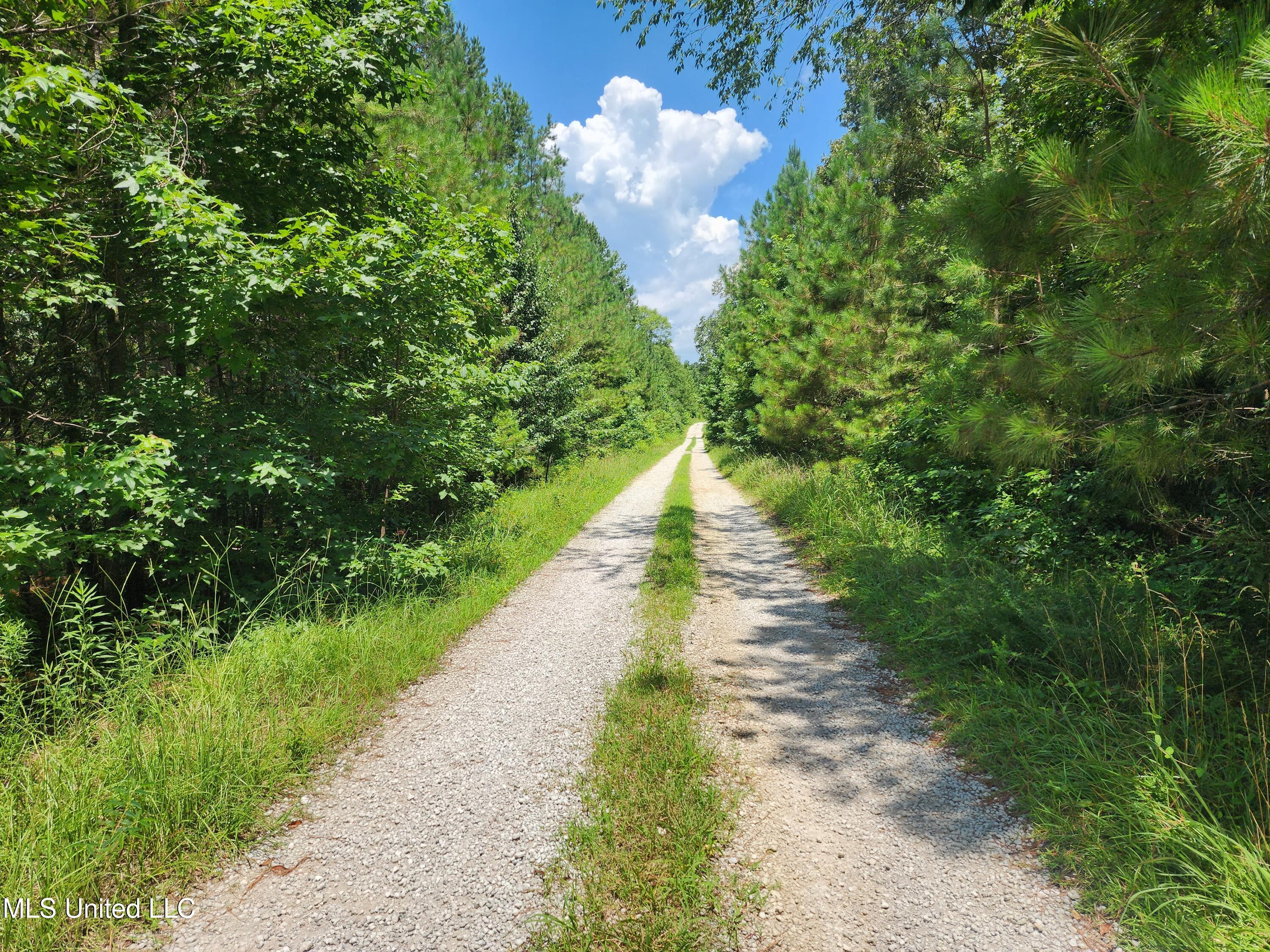 1820 County Road 478 Myrtle, MS 38650 - Photo 25 of 26 Oak Grove Rd