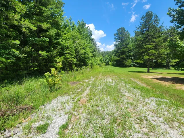 $279,900 | 1820 County Road 478, Myrtle, MS 38650