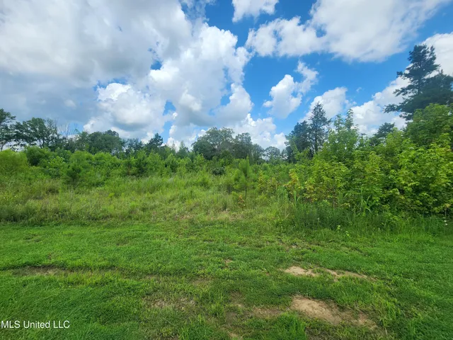 $279,900 | 1820 County Road 478, Myrtle, MS 38650