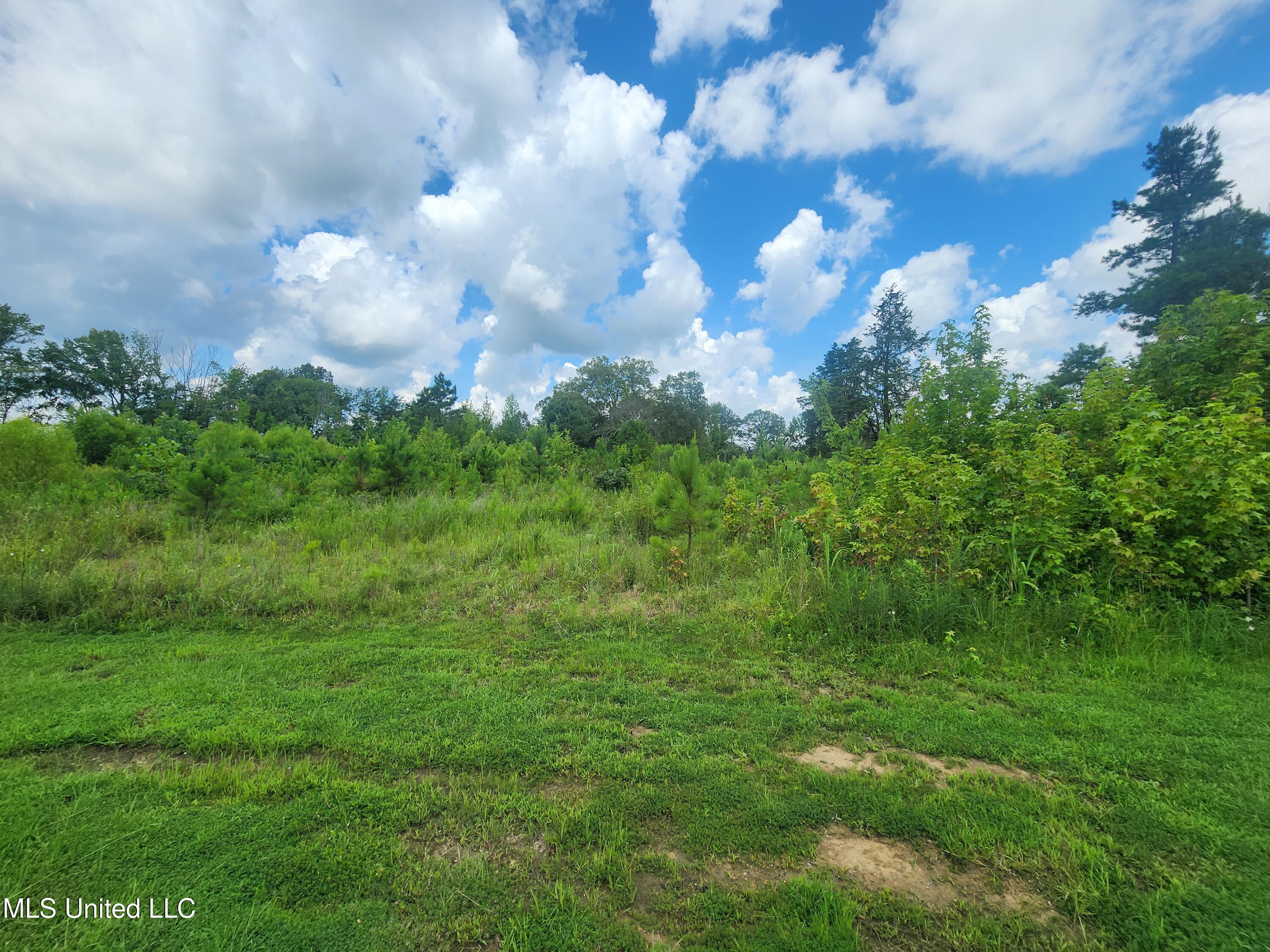 1820 County Road 478 Myrtle, MS 38650 - Photo 9 of 26 20250711_120307