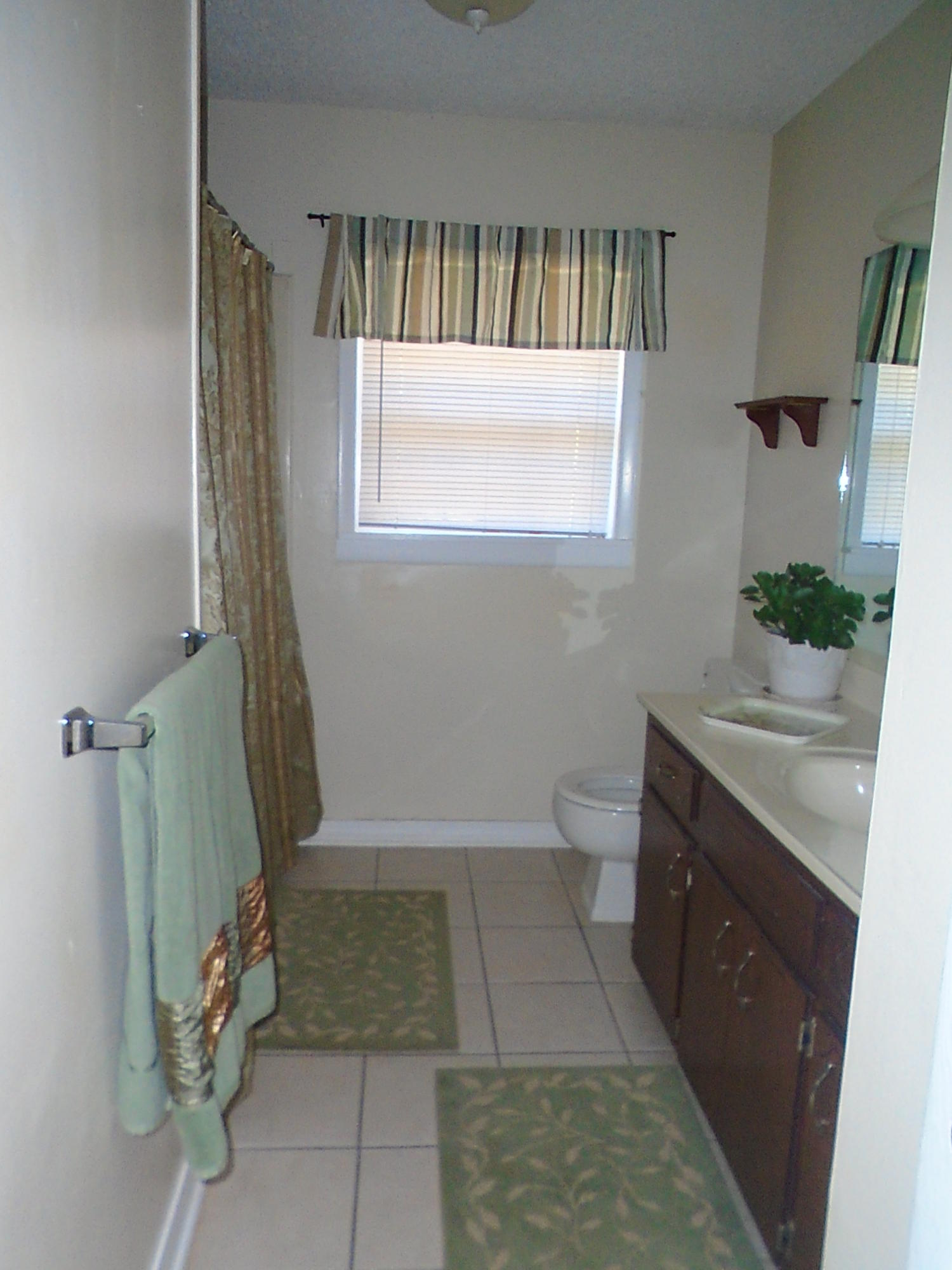 248 Bob Sikes Road DeFuniak Springs, FL 32435 - Photo 18 of 30 248 001