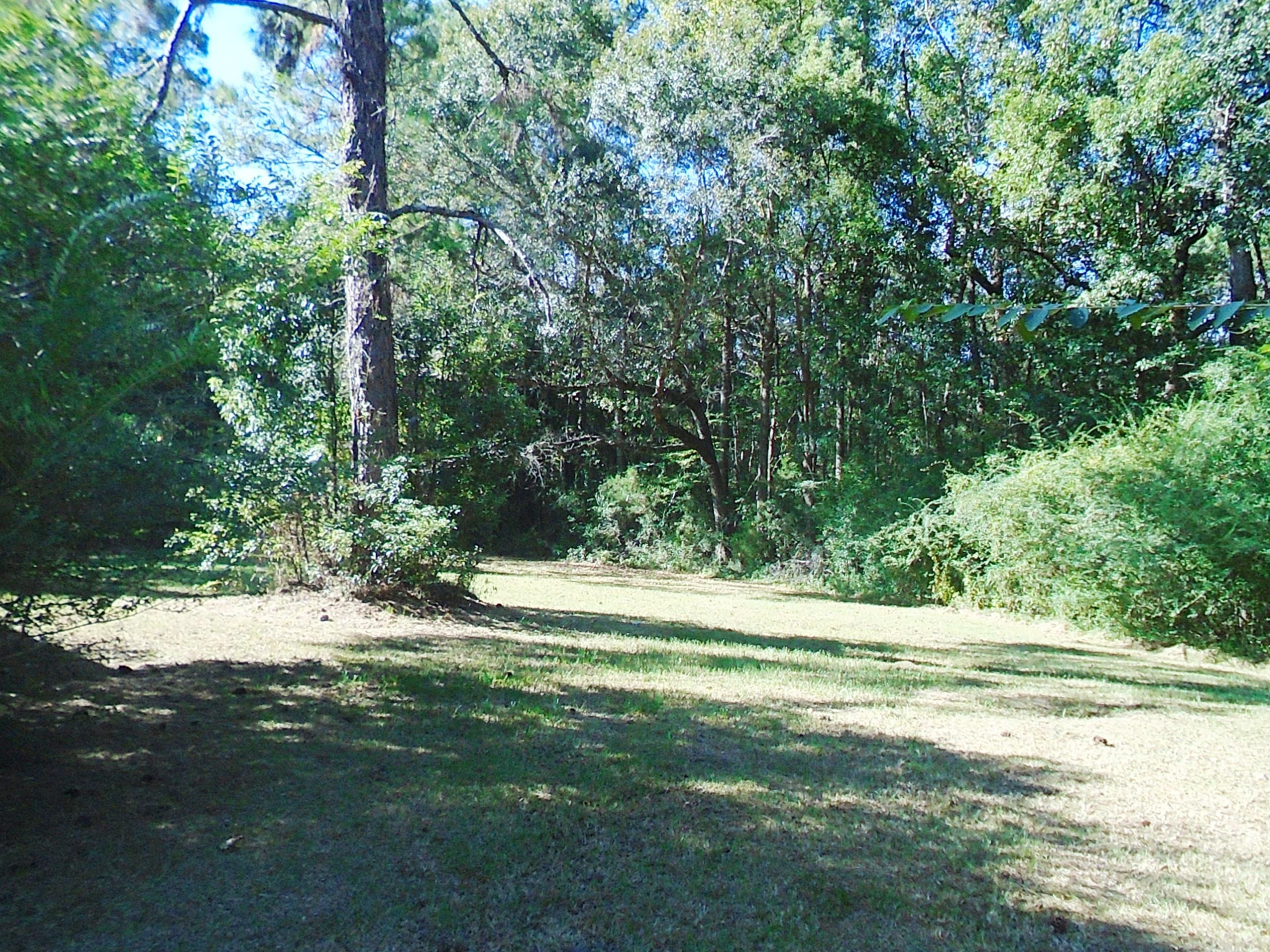 248 Bob Sikes Road DeFuniak Springs, FL 32435 - Photo 27 of 30 248 new 008