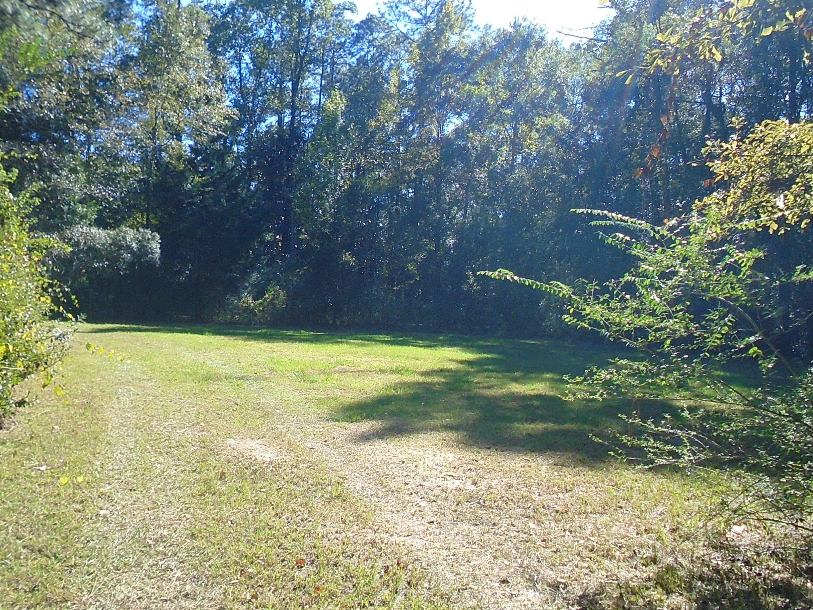 248 Bob Sikes Road DeFuniak Springs, FL 32435 - Photo 29 of 30 248 new 010