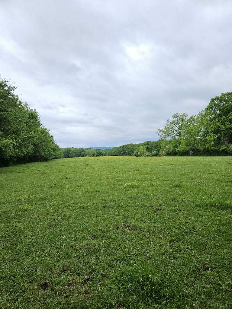 0 Murfreesboro Road Franklin, TN 37064 - Photo 2 of 6 Gallery Image 2