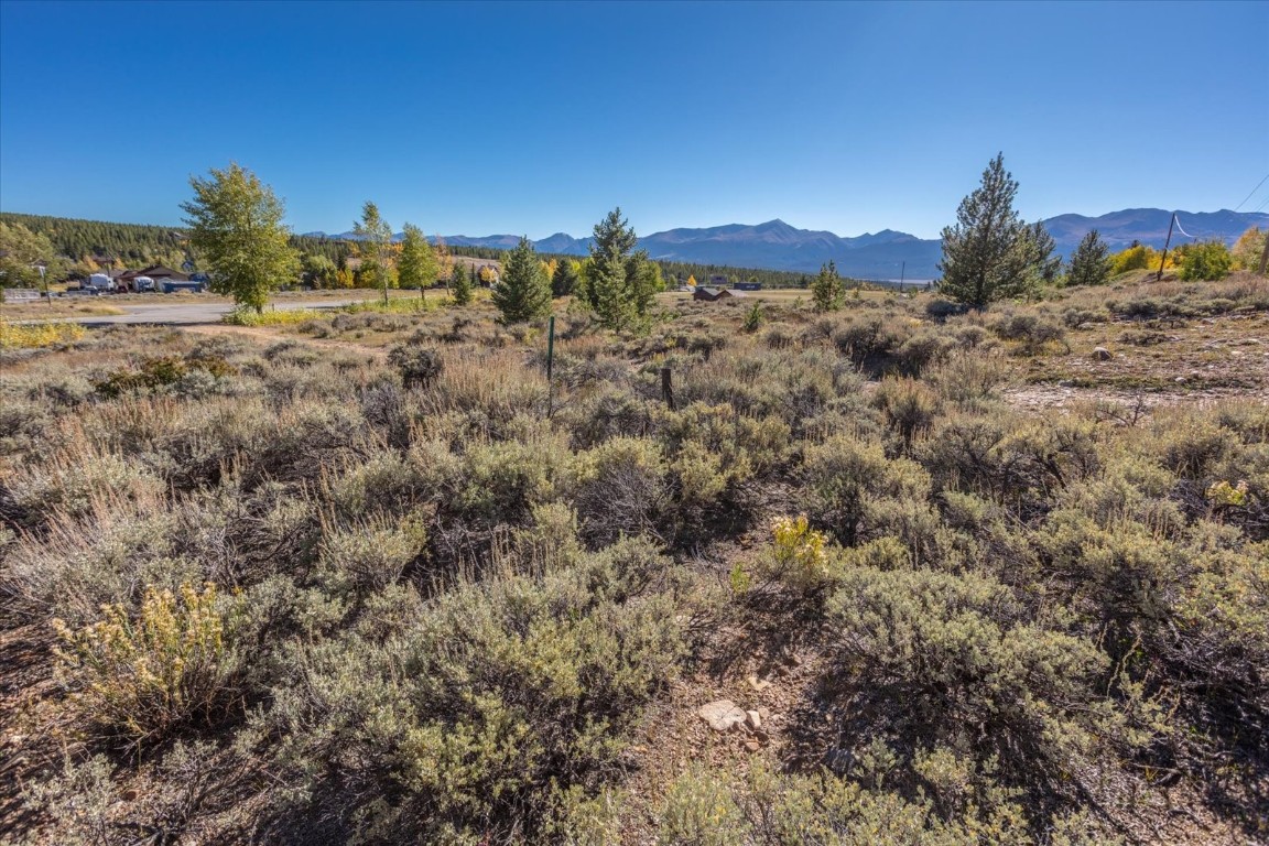 Tbd Tbd Tbd Leadville, CO 80461 - Photo 18 of 25 a view of a yard with a mountain