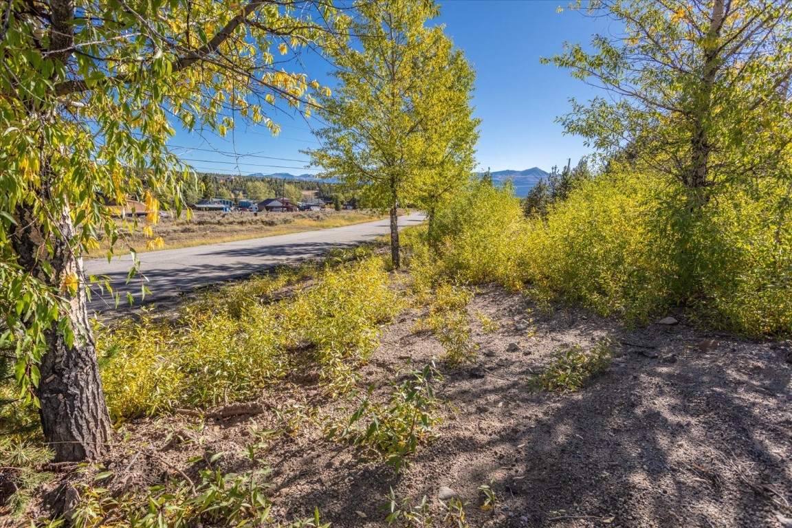 Tbd Tbd Tbd Leadville, CO 80461 - Photo 25 of 25 a view of a yard with an trees