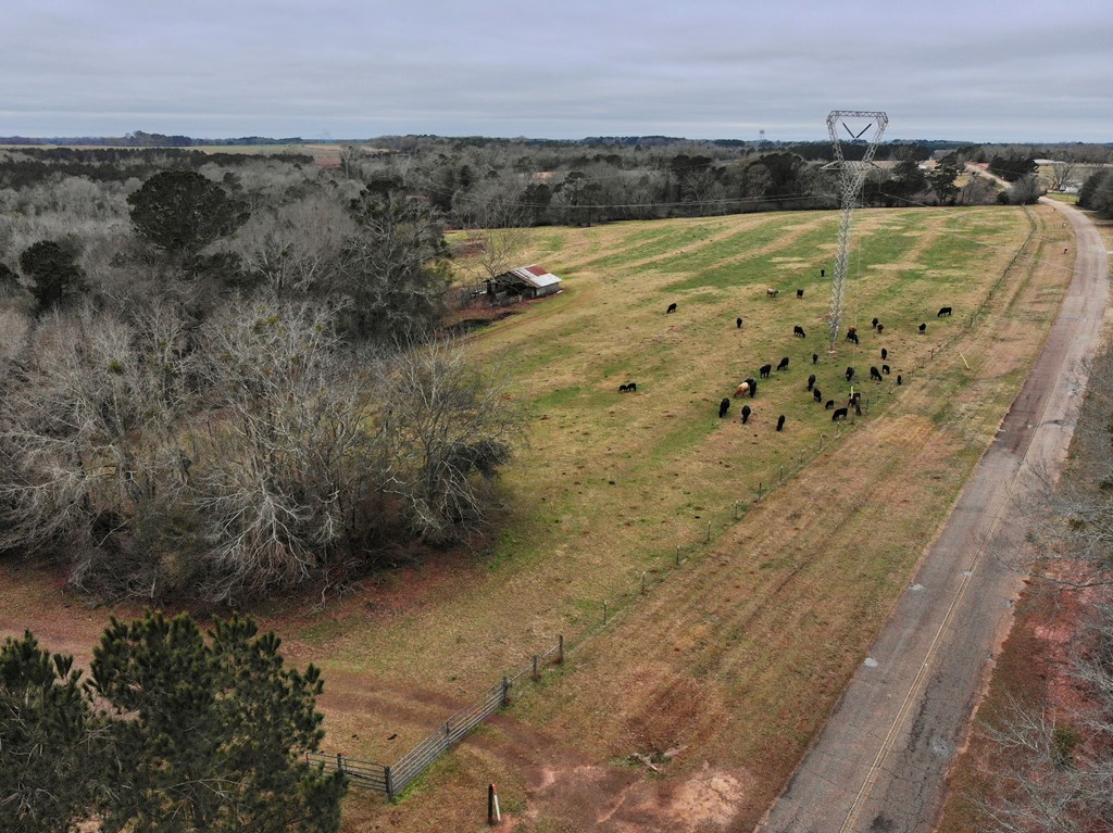 0 Tom Fain Road Geneva, AL 36340 - Photo 7 of 13