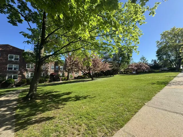 a view of a yard with a tree